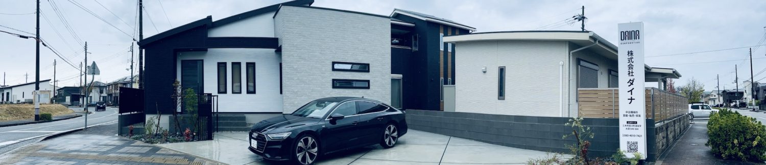 DAINA CORPORATION LTD